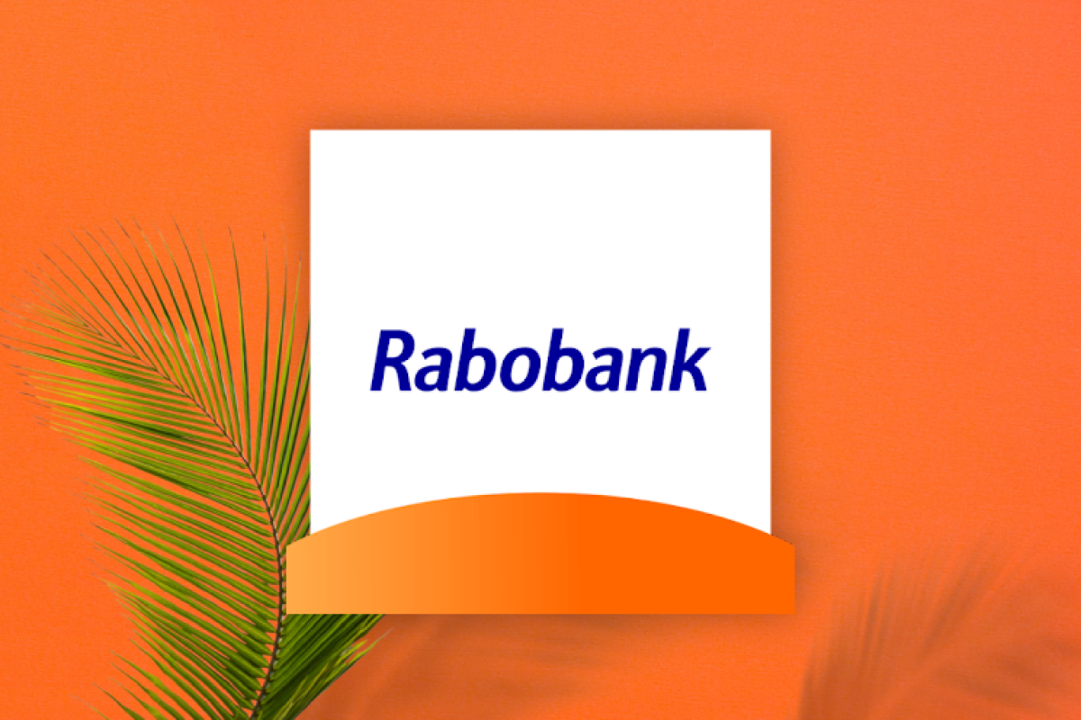 Rabobank-app geeft nu inzicht in je energieverbruik: zo werkt het ...