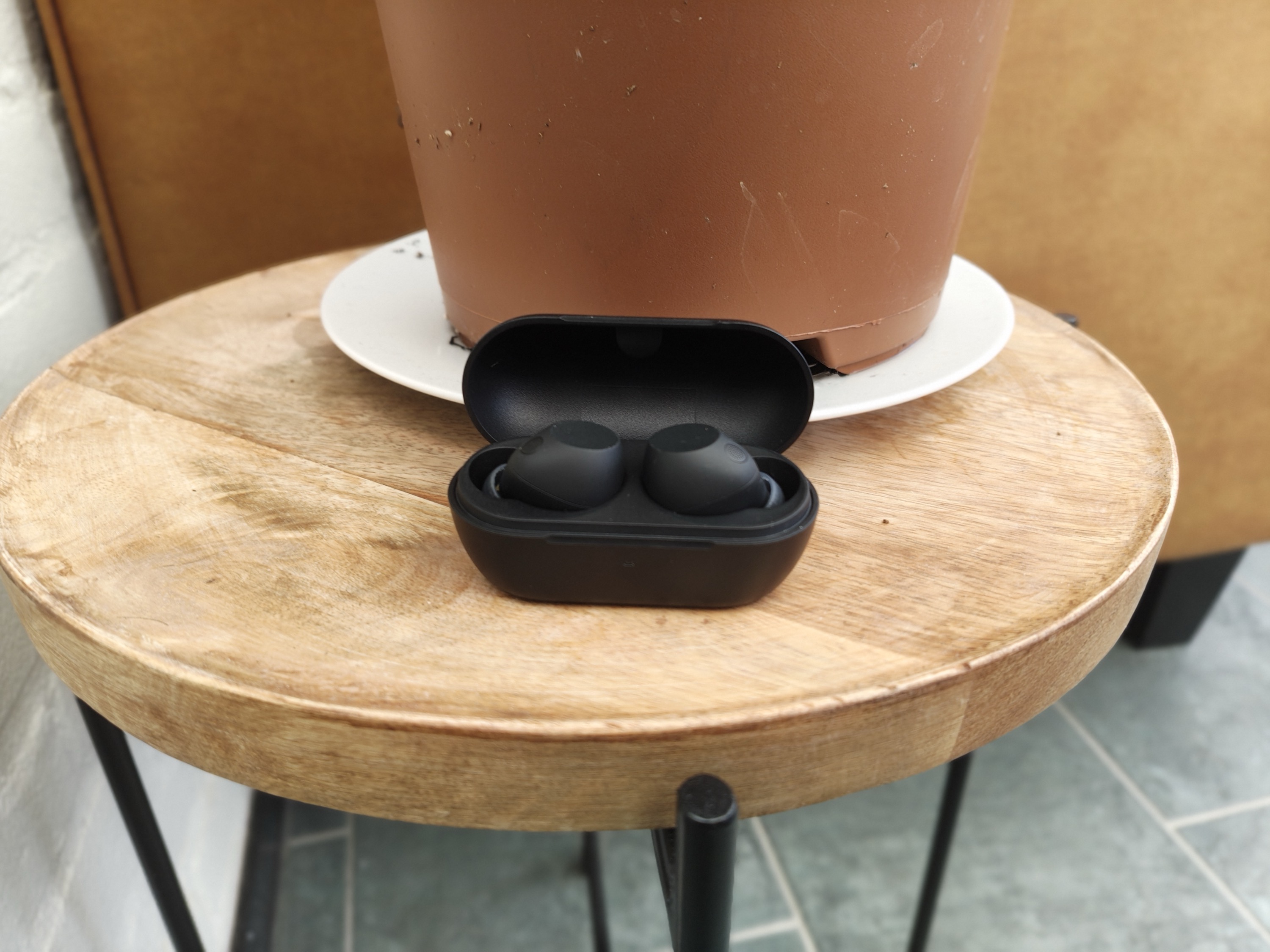 Sony Wf-c710n met doosje bij plant