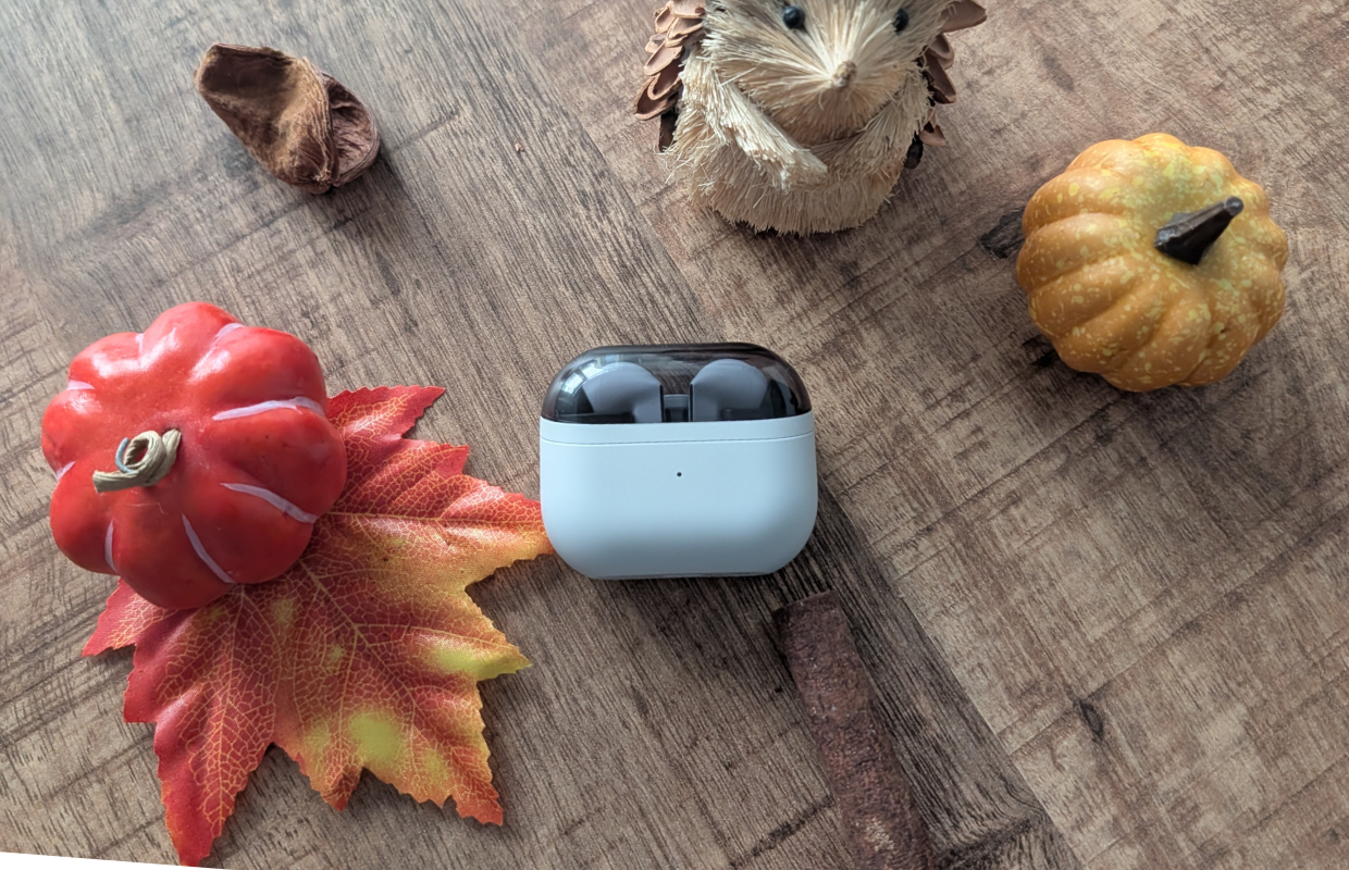 Samsung Galaxy Buds 3 FE herfst