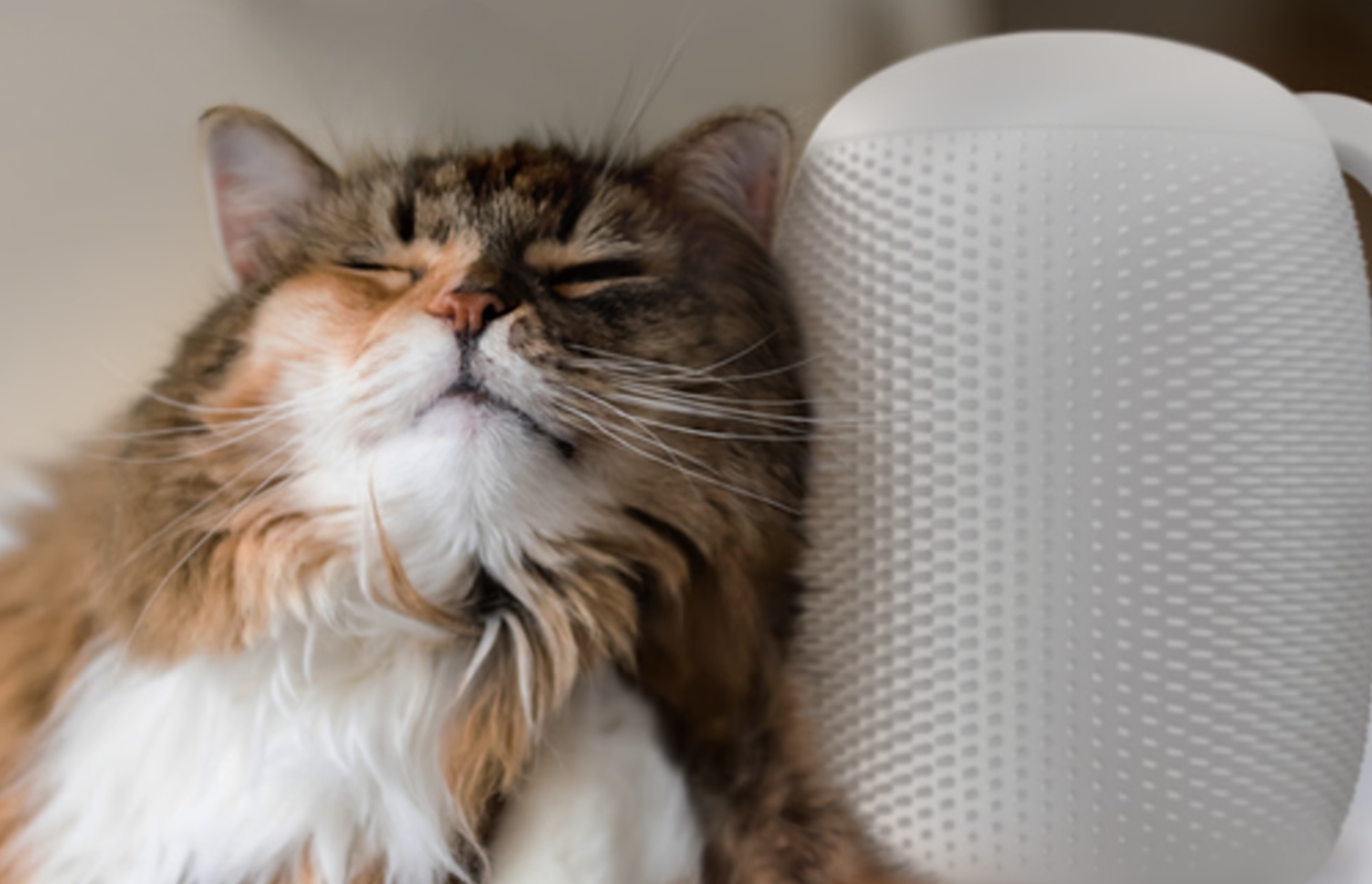 Eenderde heeft wel eens iets gebackt op Kickstarter