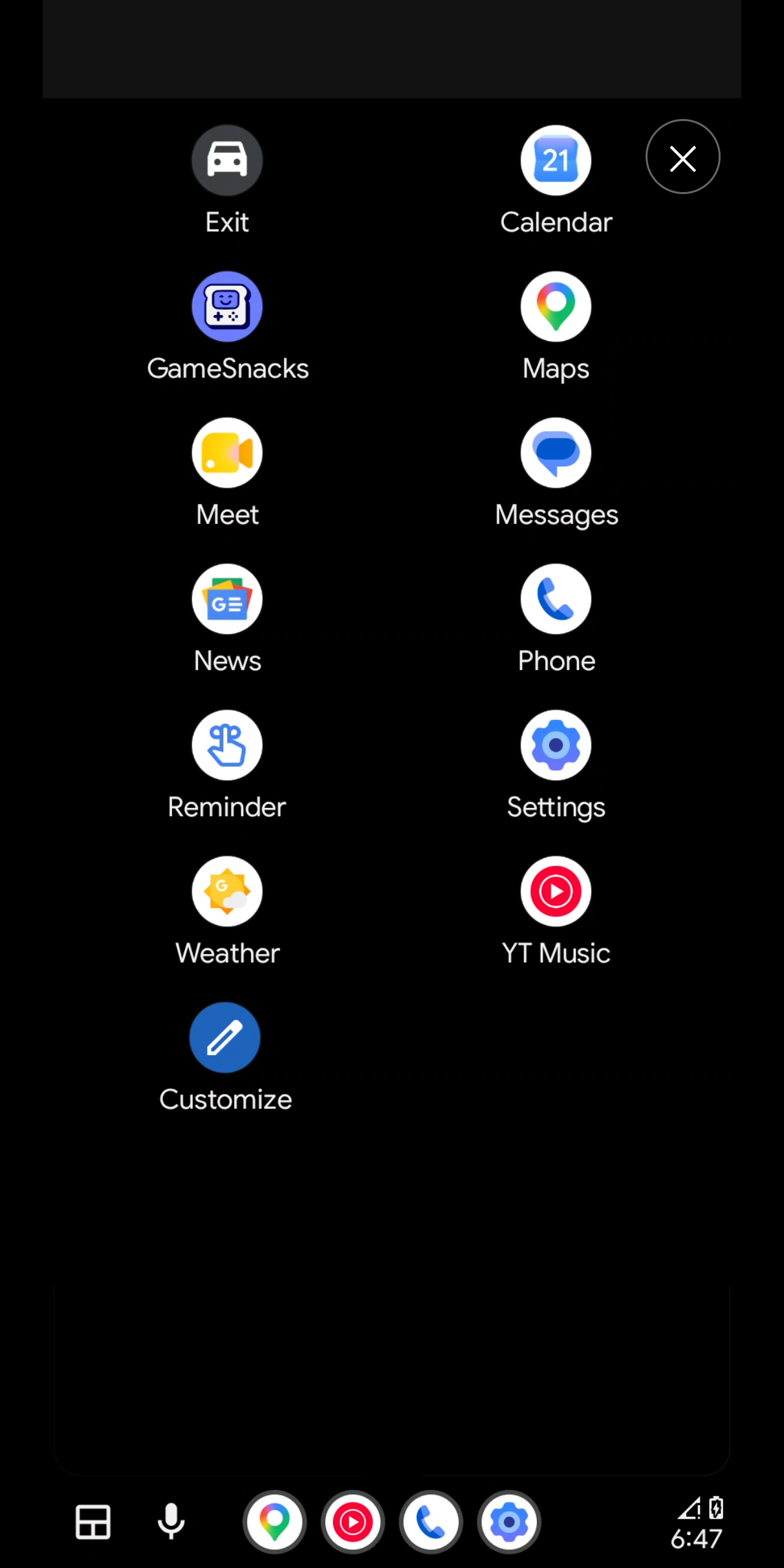 phoneauto-portrait